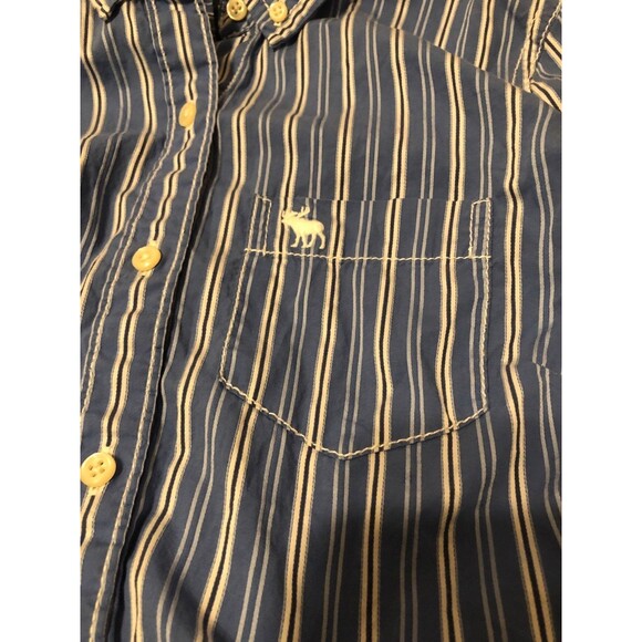 Blue and White Striped Button Up - Picture 9 of 9